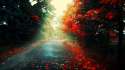 Rain-Nature-Wallpapers.jpg