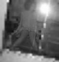 3721962.jpg