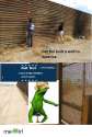 Imgur-f7166a.png