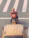135448755.gif
