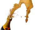 congratulations wine bottle tubgirl.jpg