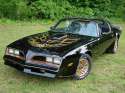 resized_transam.jpg