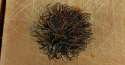 image000000.jpg