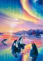 acid-orcas.jpg