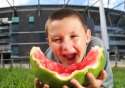 mellon monkey.jpg