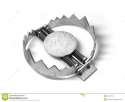 sharp-metal-bear-trap-d-illustration-white-54038710.jpg
