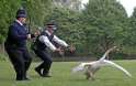 hotfuzz_3040120b.jpg