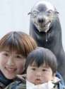 killer_seal.jpg