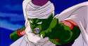piccolo-point.jpg