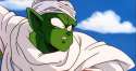 piccolo-waht.jpg