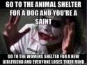 shelter.jpg
