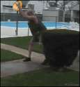 pepsi papaj challenge.gif