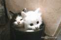 1450401110713.gif