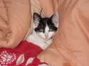 DSCN1366.jpg
