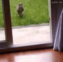 1441096733961.gif