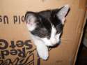 DSCN1369.jpg