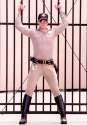 bullcop.jpg
