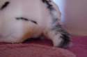 DSC02725.jpg
