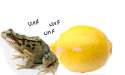 lemonz.png