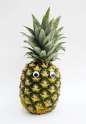 crazy spinny pinepal!.gif