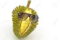 best fruit.jpg