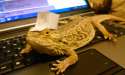 SCALES I AM MAKING POSTS AT YOU ON THE INTERNET.jpg