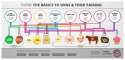 basic-wine-pairing-chart.png