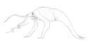 Eel-oid.png