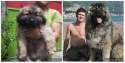 dog-used-to-hunt-bears-russian-bear-hunting-dog.jpg