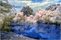 small_pond_in_infrared_by_helios_spada-d4wgd9o.jpg