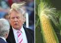 donald-trump-funny-look-alike-20__700.jpg