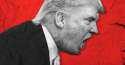 04-donald-trump-rage.w1200.h630.jpg