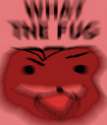 1452464258177.jpg