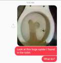 Screenshot_2016-05-11-09-05-32_1.jpg