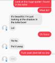 Screenshot_2016-05-11-09-06-06_1.jpg