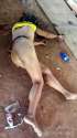 woman-found-half-naked-rape-murder-brazil-04-576x1024.jpg