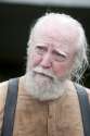 hershel walking dead.jpg