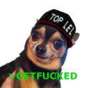 kek dog.jpg