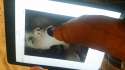 20160511_011428.jpg