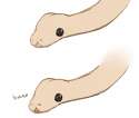 snek_by_seopai-d9pfr29[1].png