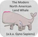 Land_Whale_Meme.png