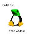 Untitled.jpg
