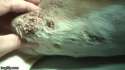2ef7327c449752e02135587ae2d36de3.600x.gif