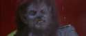 1355180360482.gif