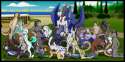 43c7a975e8ad4ba20cfc47e10f2406b6.jpg