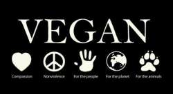 Vegan.jpg