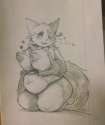 Zangoose185.jpg