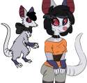 mug the opposum.png