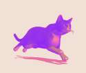 1435770313817.gif