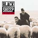 blacksheep.png